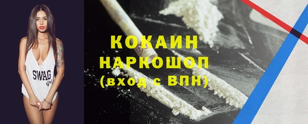 шишки Арсеньев