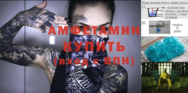 прущие грибы Алексеевка