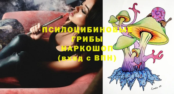 эйфоретик Алексин