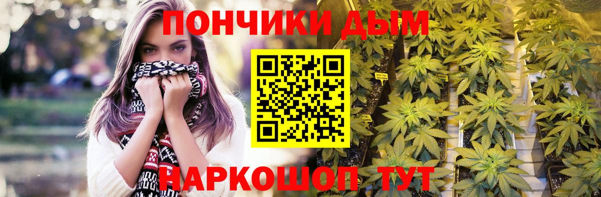Бошки Шишки планчик  Каннабис семена  Марихуана марихуана  Тайшет  Вход с VPN 